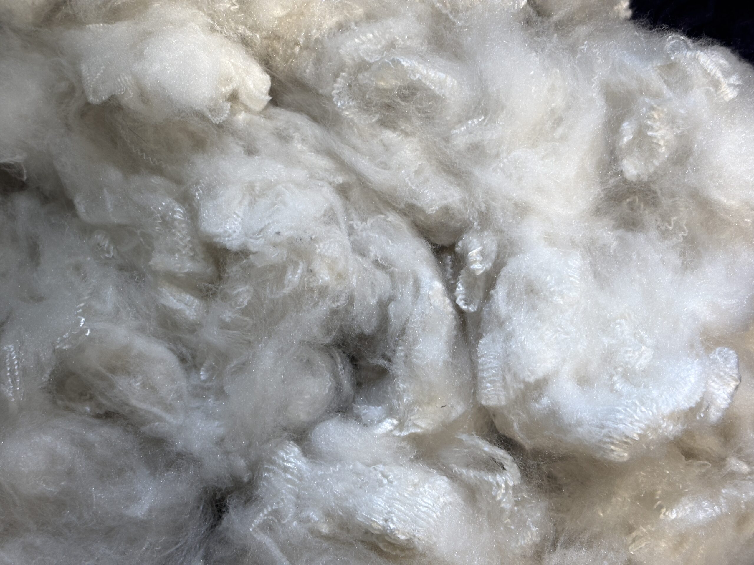 Polyester Stable Fibre (RPSF)